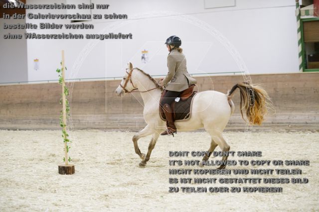 s_K3F01652.JPG